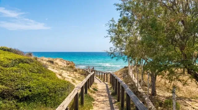 Strada sabbiosa verso il mare